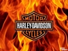 Harley Davidson 6