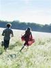 a walk through wildflower field