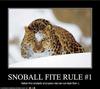 snowball fight rule #1