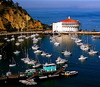 A Trip to Catalina Island