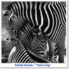 Zebra Cuddles