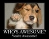 Your Awesome