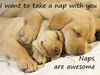 naps are awesome