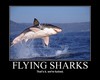 Flying Shark Attack!