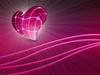 human heart 