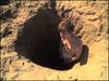 A hole you got yourself into