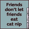 No Cat Nip!