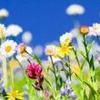 Have a great summer day