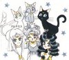 Sailor Moon Manga Comic 