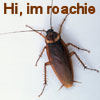 roachie =]