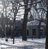 Walk in a Snowy Park