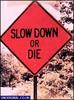 Slow Down!
