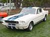 65 Mustang Sheldy GT 360