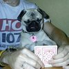 Poker Face