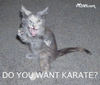 karate kat
