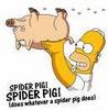 Spider Pig