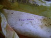 A taco with your name on it