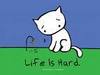 life is hard u know?...