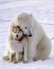 a big bear hug...oxox...