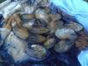 a buffet of clams