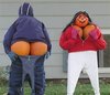 Do You Like My Pumpkins?