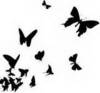 ღRelease...