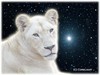 a donation for The White Lioness