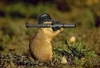 Groundhog RPG