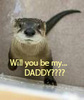 lonely otter asking......