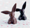 Chocolate Bunnies!