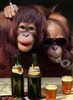 friends forever :) hic!