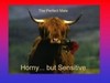 horny ! but sensitive :)