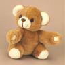Teddy Bear Bear