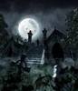 moonlit graveyard