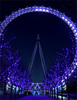 Fly... on the London Eye