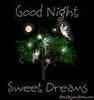 Good Night and Sweet Dreams