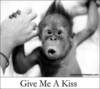 Give me a kiss