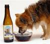 DOG BEER