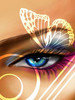 butterfl eye