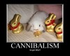 chocolate bunny cannibalism