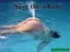 SAVE THE WHALES!!!!