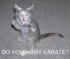 Do you want karate?!