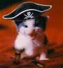 Pirate pet protection