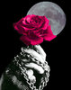 rose and moon