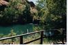 A SWIM IN FERN POOL