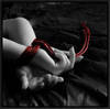 bound for you...