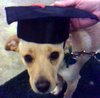 I R a Graduate!