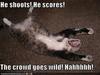 Hockey kitty