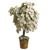 Money tree