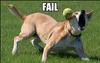 * a pet FAIL *